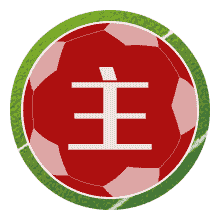 重庆第二十九中学校女足U14